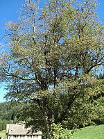 CIMG5841.JPG