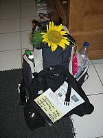 CIMG6197.JPG