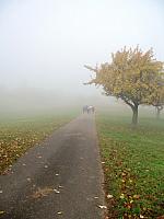 Herbst-Walking Sonntag, 6. November