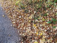 IMG_1408.JPG