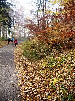 IMG_1409.JPG