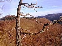 DSC09329.JPG