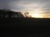 DSC09344.JPG