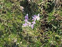 Vorbereitungswalk110302_4