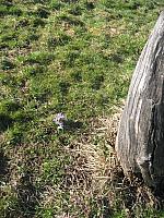 Vorbereitungswalk110302_5