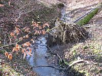 Vorbereitungswalk110302_6