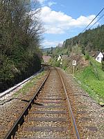 IMG_9676