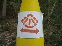 IMG_9679