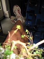 IMG_9710