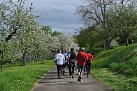 Sonderlauf Wurmlinger Kapelle 6. Mai