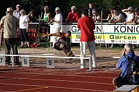 IMG_6308.JPG