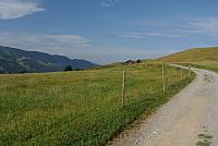 DSC_7309.JPG
