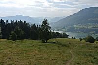 DSC_7314.JPG