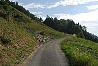 DSC_7317.JPG