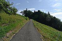 DSC_7321.JPG