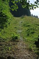 DSC_7324.JPG