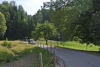 DSC_7335.JPG
