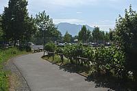 DSC_7342.JPG