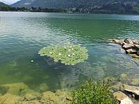 DSCF0523.JPG