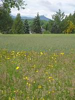 DSC00704.JPG