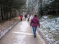 IMG_4519