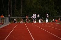DSC03101.JPG