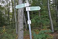 DSC_0333.JPG