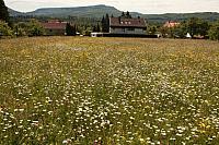 IMG_6435.JPG