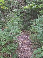 DSCF7643.JPG
