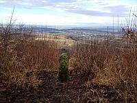 Dreikönigslauf und-Walking