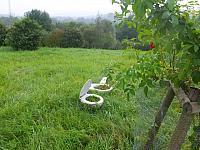 DSCF7441.JPG