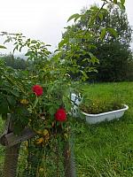 DSCF7442.JPG