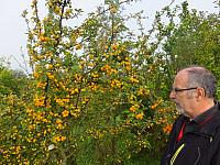 DSCF7451.JPG