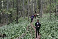 Sonderlauf Beuren - Schlatt 11. Mai