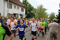 IMG_4973.JPG