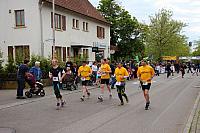 IMG_5019.JPG