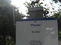 CIMG1424