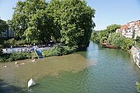DSC01646.JPG