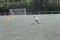IMG_7946.JPG