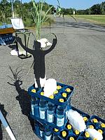 DSC01538.JPG