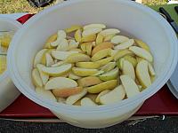 DSC01545.JPG