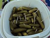 DSC01546.JPG