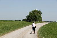 IMG_7647.JPG