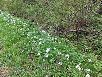 DSCF1251.JPG