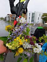 DSCF1267.JPG