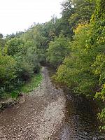 DSCF2333.JPG