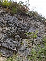 DSCF2342.JPG