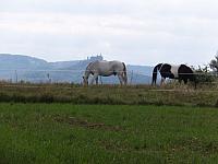 DSCF2449.JPG