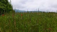 DSCF0103