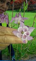 IMG-20160605-WA0022.jpg